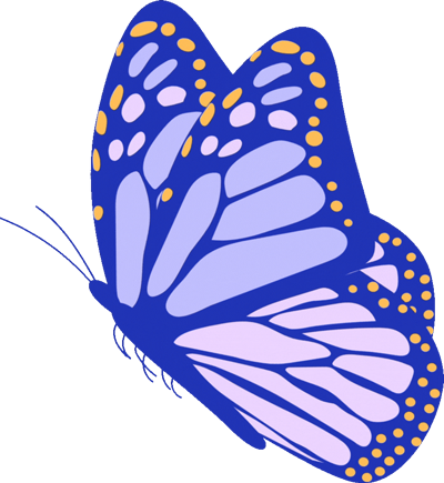 bướm trên