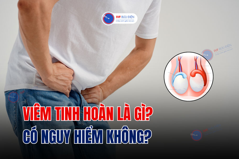 Viêm tinh hoàn là gì? Có nguy hiểm không?