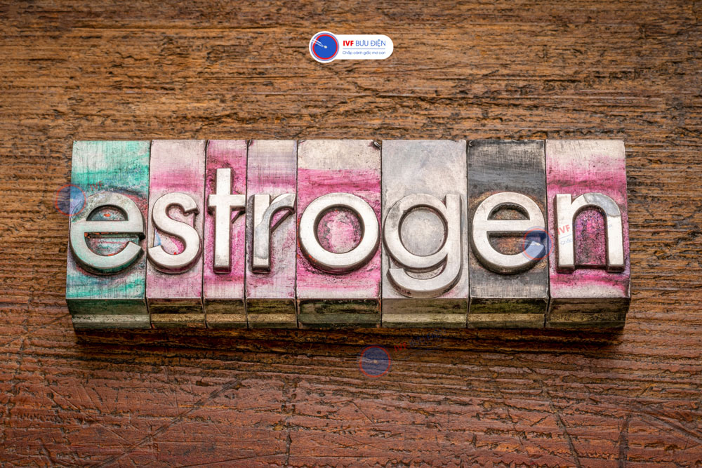 hormone estrogen