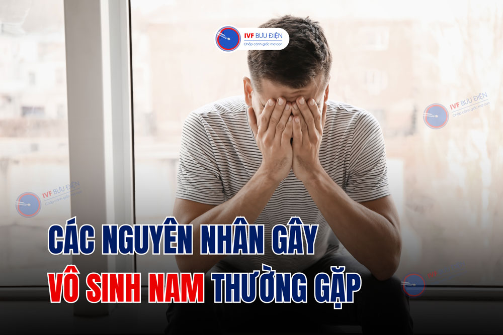 Các nguyên nhân gây vô sinh nam thường gặp