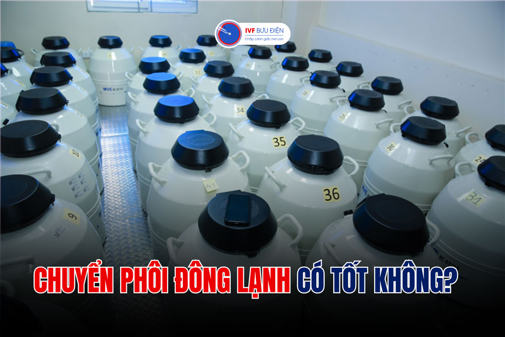 Chuyển phôi đông lạnh có tốt không?