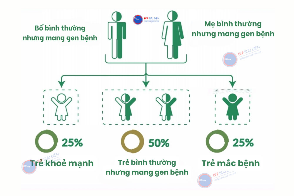 Cơ chế di truyền của bệnh Phenylketone niệu 