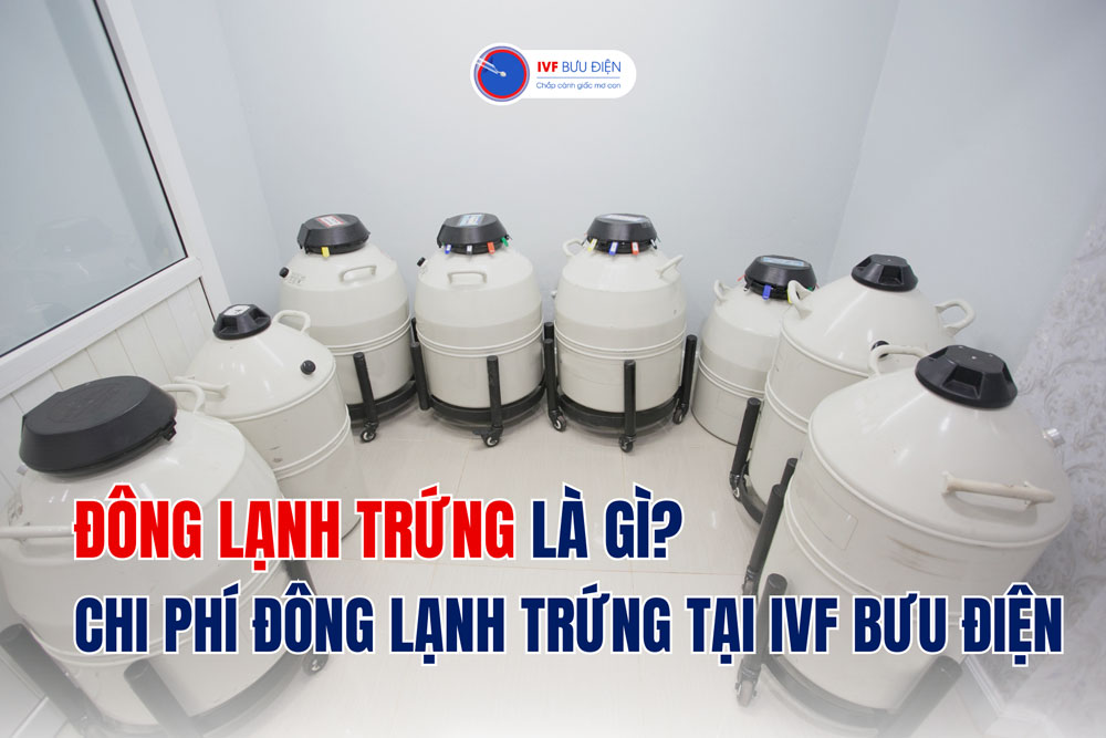 Đông lạnh trứng là gì? Chi phí đông lạnh trứng tại IVF Bưu Điện