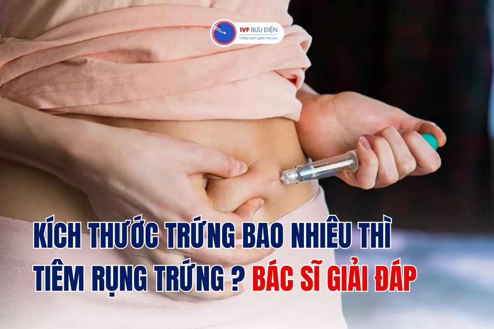 Kích thước trứng bao nhiêu thì tiêm rụng trứng? Bác sĩ giải đáp