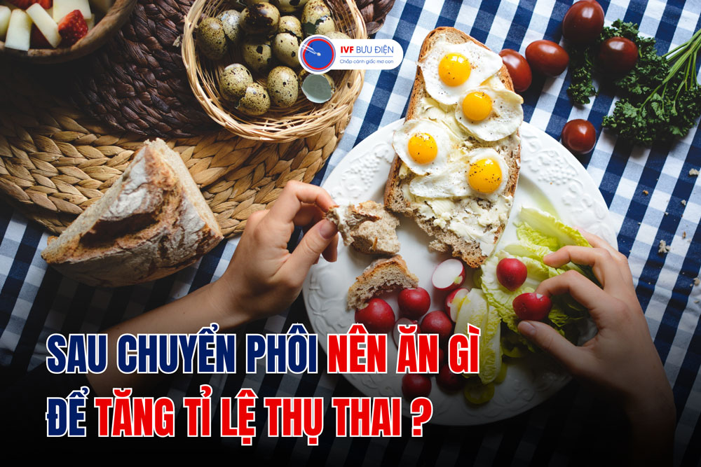 Sau chuyển phôi nên ăn gì để tăng tỉ lệ thụ thai?