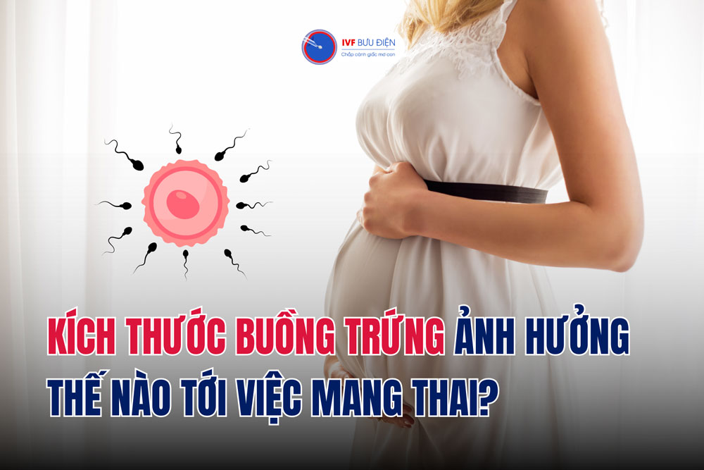 Kích thước buồng trứng ảnh hưởng thế nào tới việc mang thai?