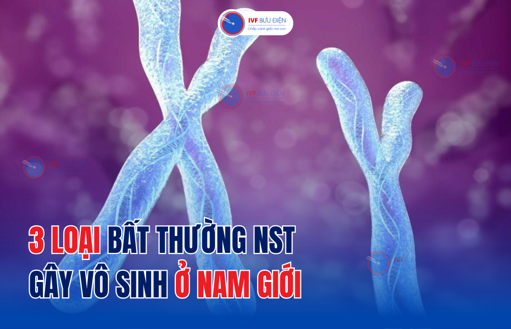 3 loại bất thường NST gây vô sinh ở nam giới