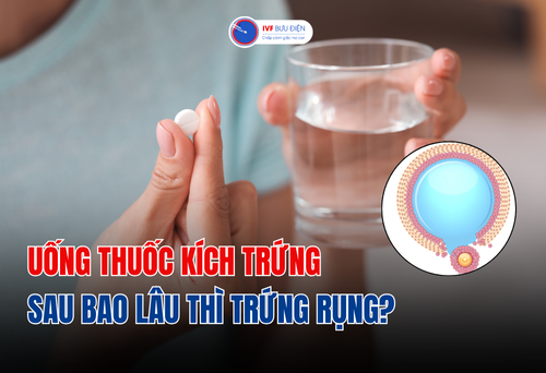 Uống thuốc kích trứng sau bao lâu thì trứng rụng?