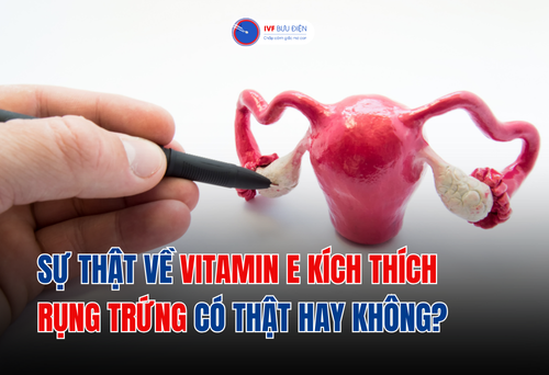 Sự thật về vitamin E kích thích rụng trứng có thật hay không?