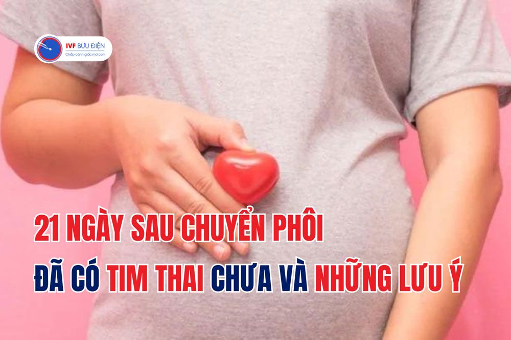 21 ngày sau chuyển phôi đã có tim thai chưa và những lưu ý