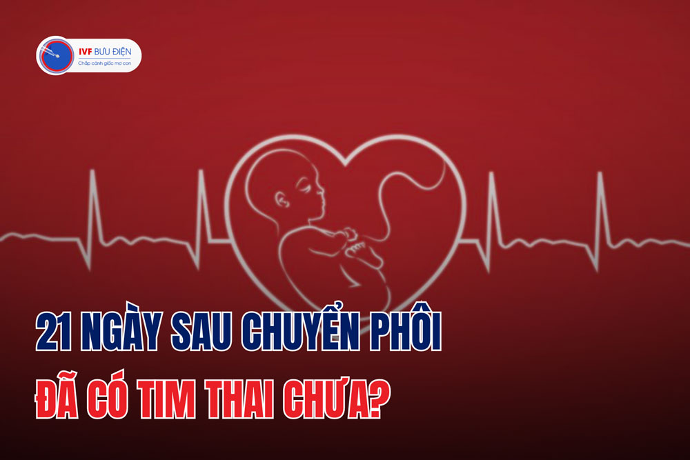 21 ngày sau chuyển phôi đã có tim thai chưa?