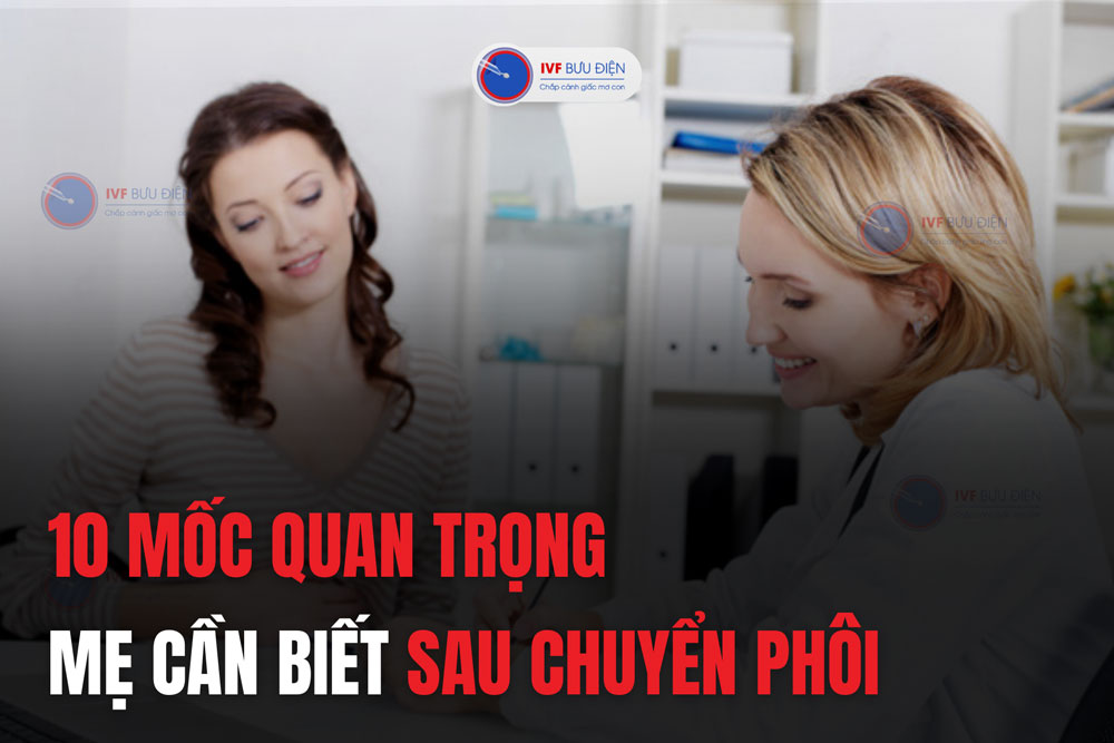 10 mốc quan trọng mẹ cần biết sau chuyển phôi