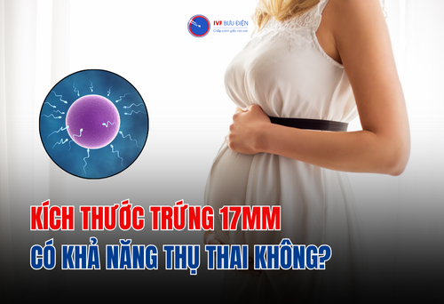 Kích thước trứng 17mm có khả năng thụ thai không?