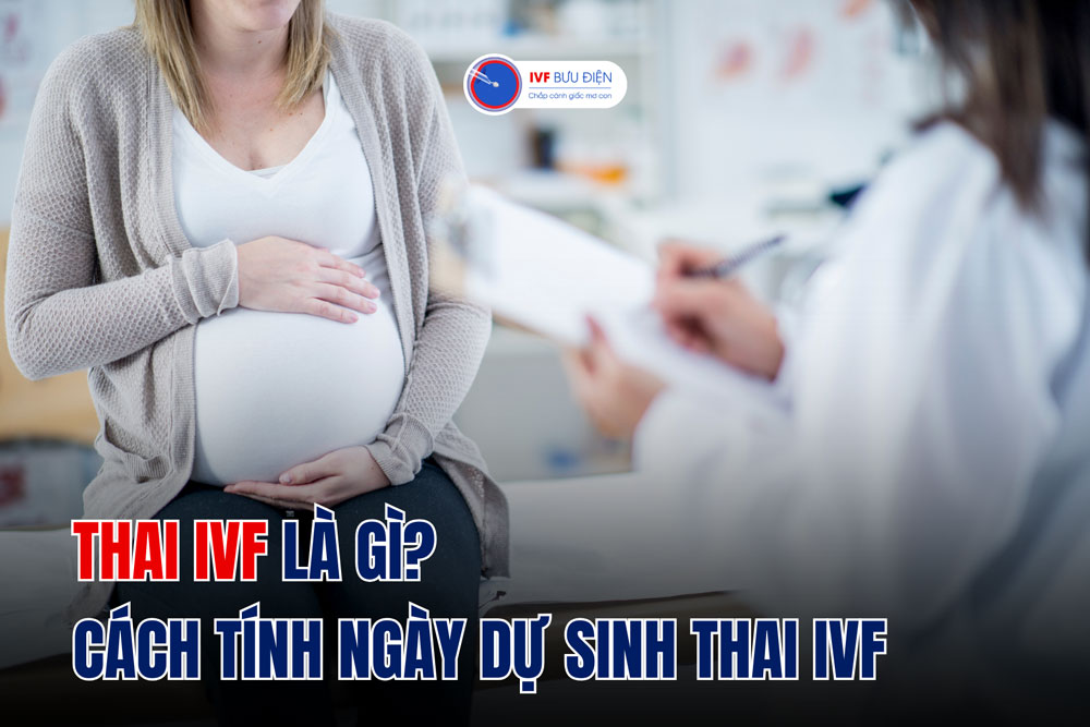 Thai IVF là gì? Cách tính ngày dự sinh thai IVF