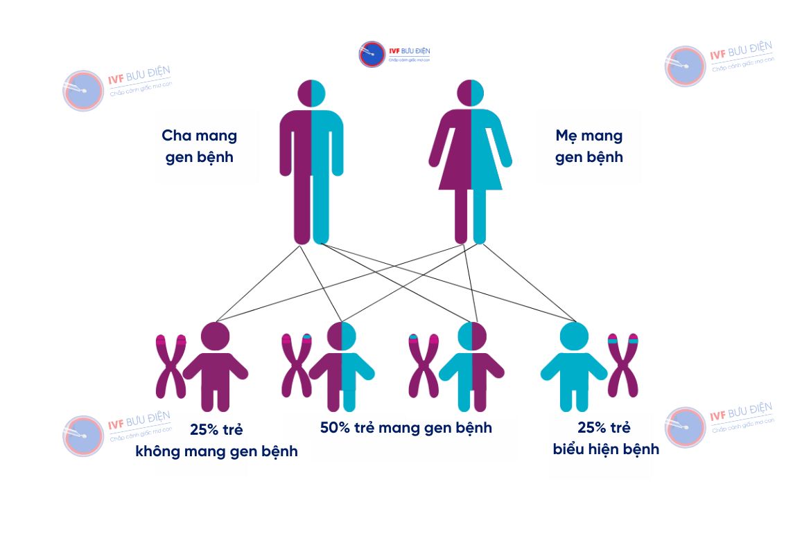 Cơ chế di truyền của Alpha thalassemia