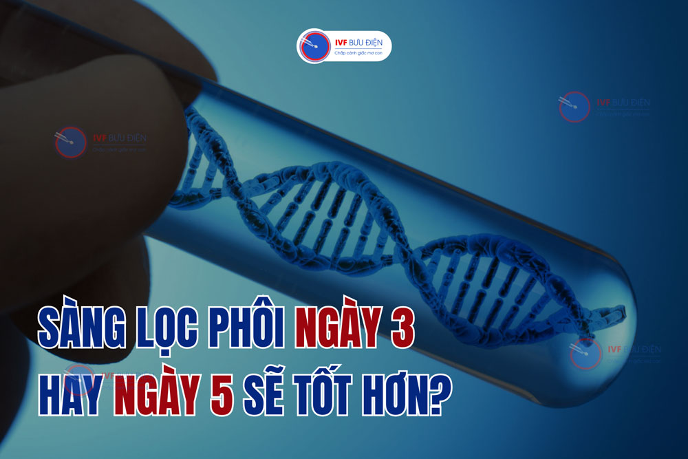 Sàng lọc phôi ngày 3 hay ngày 5 sẽ tốt hơn?