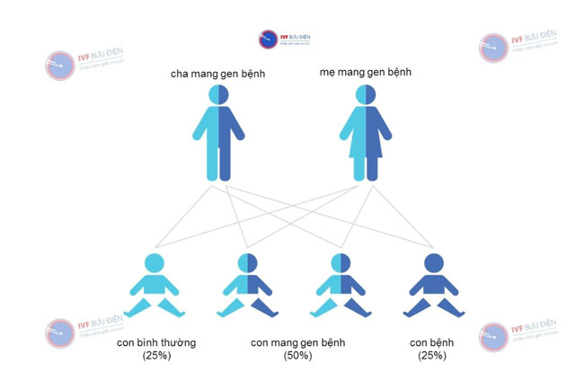 Cơ chế di truyền bệnh teo cơ tuỷ