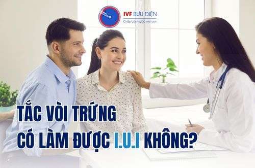 [Giải đáp] Tắc vòi trứng có làm iui được không?