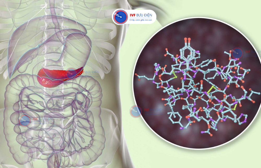 rối loạn dự trữ glycogen