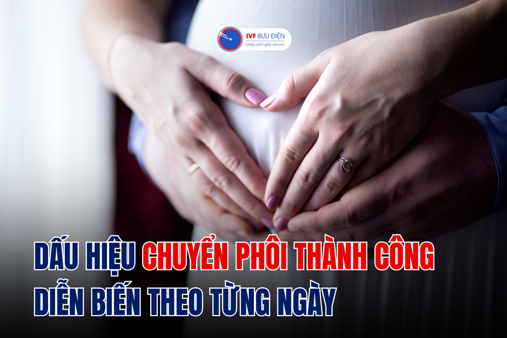 Dấu hiệu chuyển phôi thành công diễn biến theo từng ngày