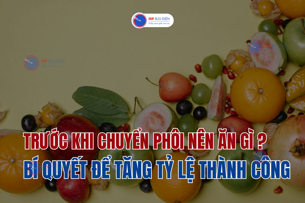 Trước khi chuyển phôi nên ăn gì? Bí quyết tăng tỉ lệ thành công