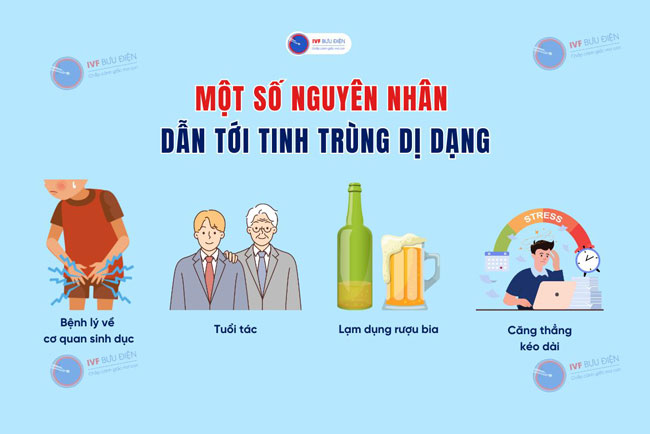 Một số nguyên nhân dẫn tới tình trạng tinh trùng dị dạng