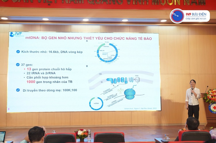 Can thiệp ti thể trong hỗ trợ sinh sản bài báo cáo khoa học của TS.BS Đào Thị Thúy Phượng được nhiều chuyên gia quan tâm