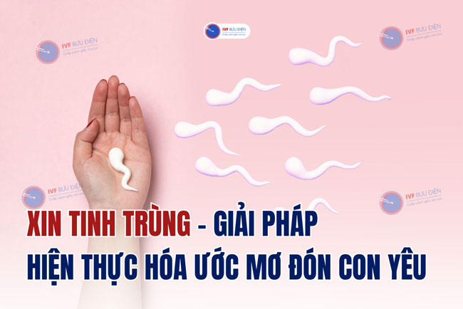Xin tinh trùng: Giải pháp giúp hiện thực hóa ước mơ đón con yêu