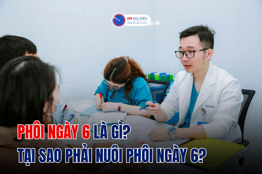 Phôi ngày 6 là gì? Tại sao phải nuôi phôi ngày 6?