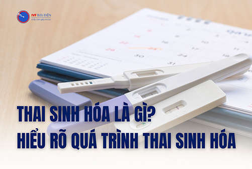 Thai Sinh Hóa là gì? Hiểu rõ về khái niệm và quá trình Thai Sinh Hóa