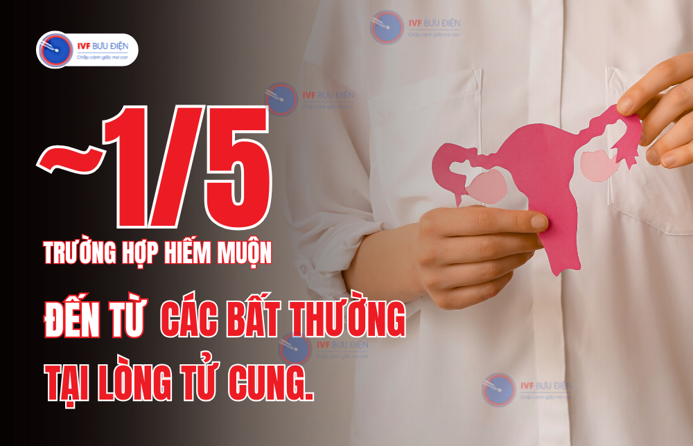 nội soi buồng tử cung chẩn đoán