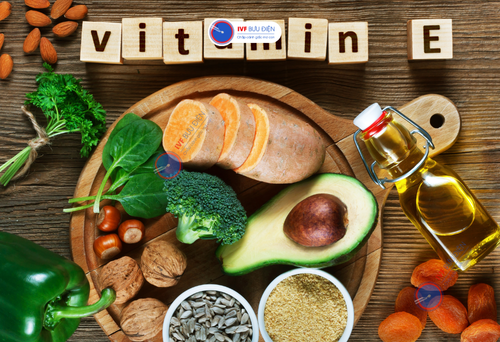 Những thực phẩm giàu Vitamin E