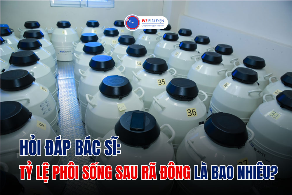 Hỏi đáp bác sĩ: Tỷ lệ phôi sống sau rã đông là bao nhiêu?