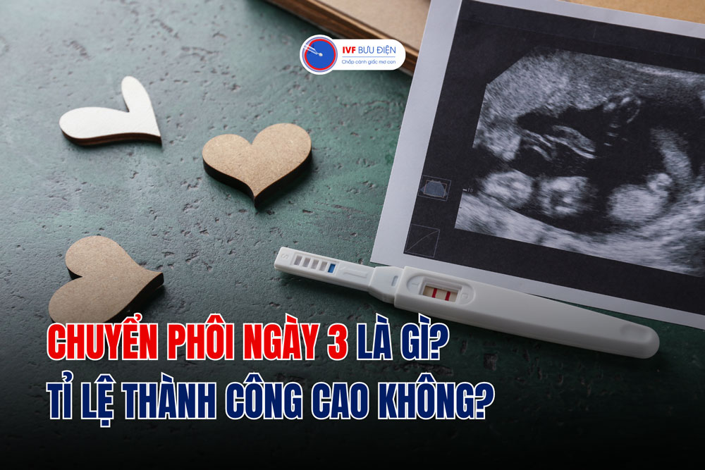 Chuyển phôi ngày 3 là gì? Tỉ lệ thành công cao không?