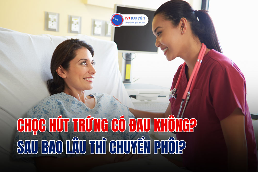 Chọc hút trứng có đau không? sau bao lâu thì chuyển phôi?