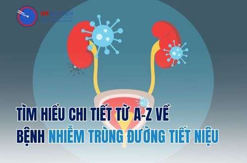 Chi tiết nhiễm trùng đường tiết niệu ở nữ từ A-Z