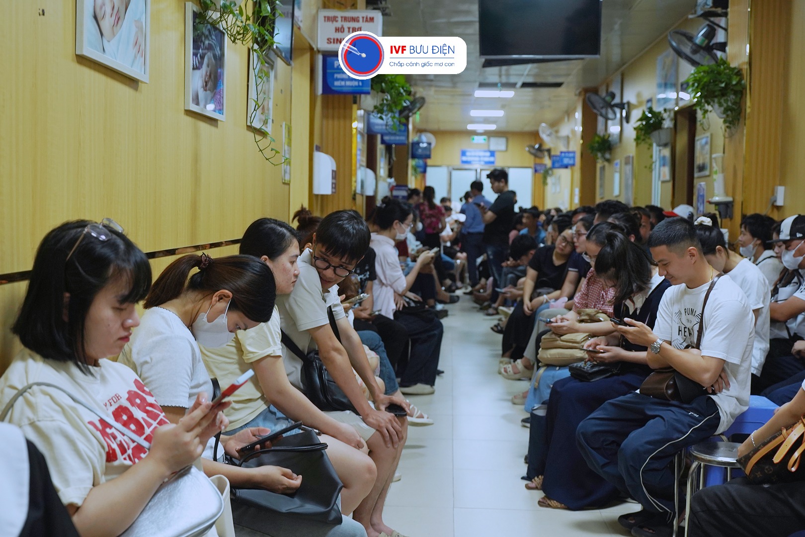 Hình ảnh các gia đình thăm khám trong ngày đầu của Tuần lễ Khám miễn phí đợt 2 – 2025 từ 4/8 – 8/8/2025