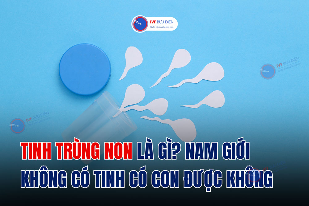 Tinh trùng non là gì? Nam giới không có tinh có con được không