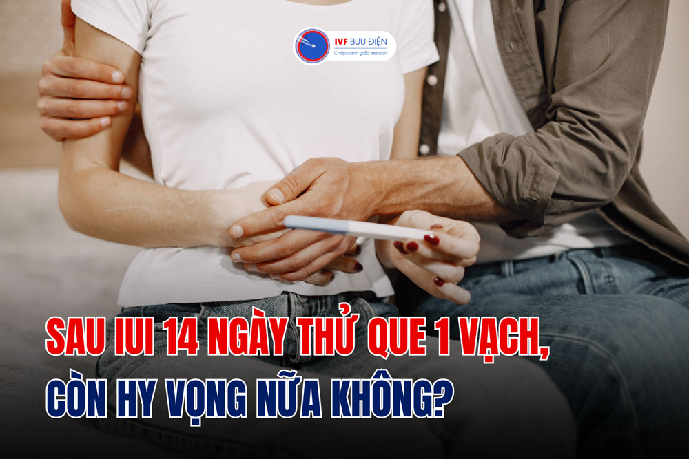 Sau IUI 14 ngày thử que 1 vạch, còn hy vọng nữa không?