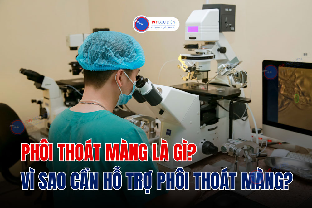 Phôi thoát màng là gì? Vì sao cần hỗ trợ phôi thoát màng?