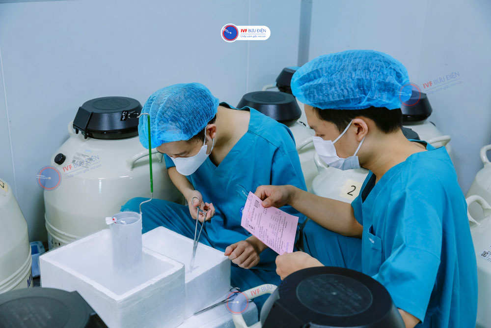 phôi đông lạnh IVF Bưu điện