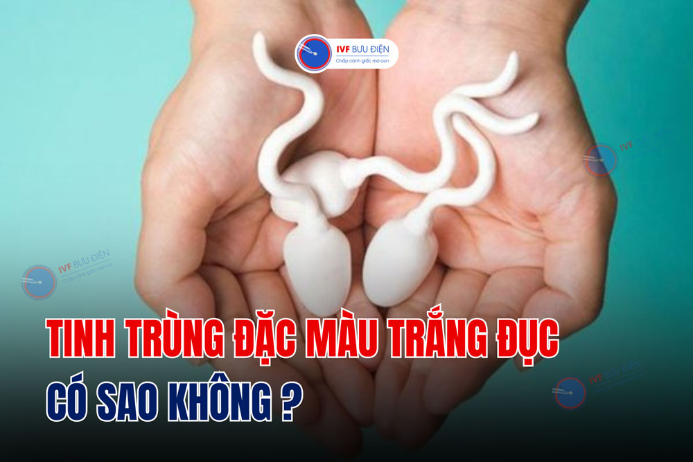 Tinh trùng đặc màu trắng đục có sao không?