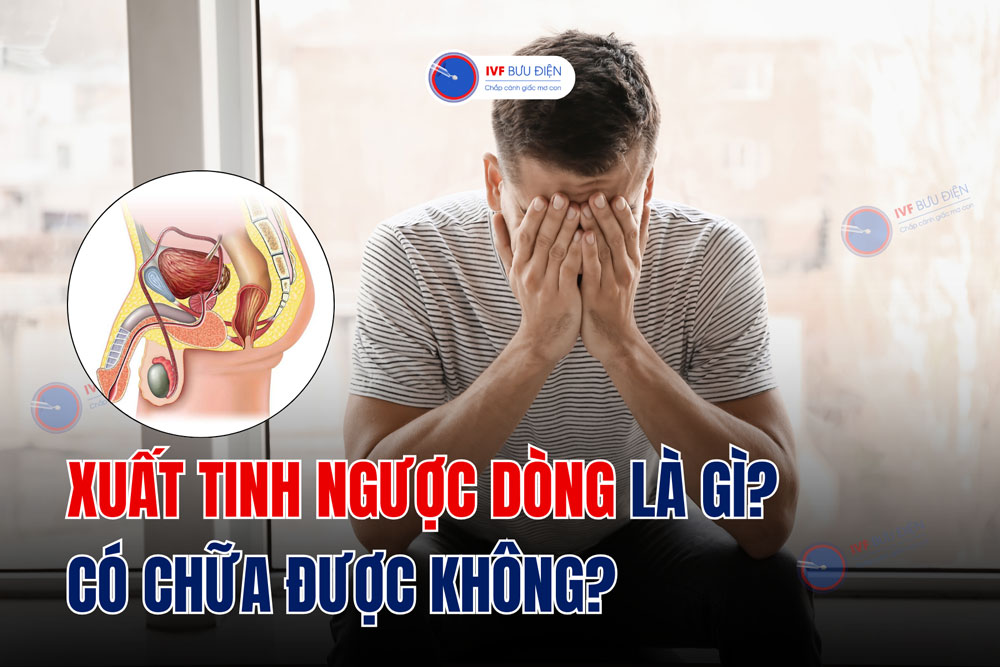 Xuất tinh ngược dòng là gì? Có chữa được không?