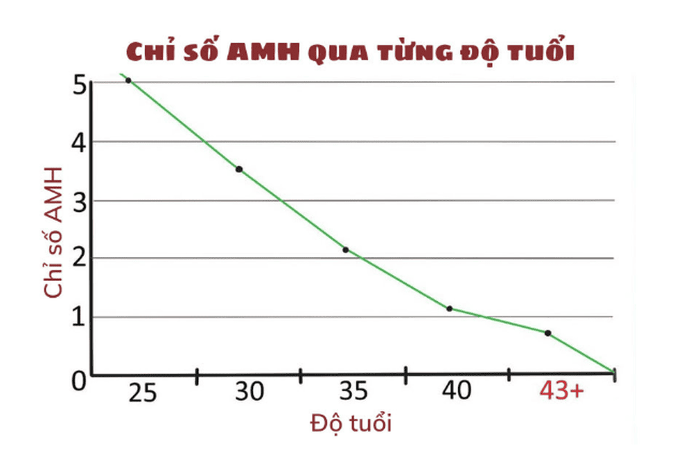 Biểu đồ chỉ số AMH qua từng độ tuổi ở nữ giới