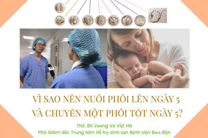 Nuôi phôi ngày 5 – Nghiên cứu của ThS. BS Vương Vũ Việt Hà