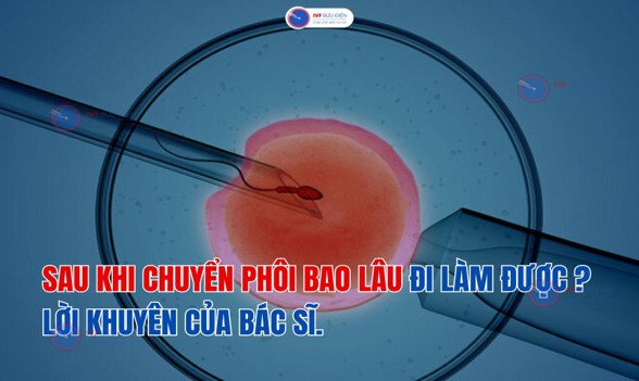 Sau chuyển phôi bao lâu thì đi làm được? Lời khuyên của Bác sĩ