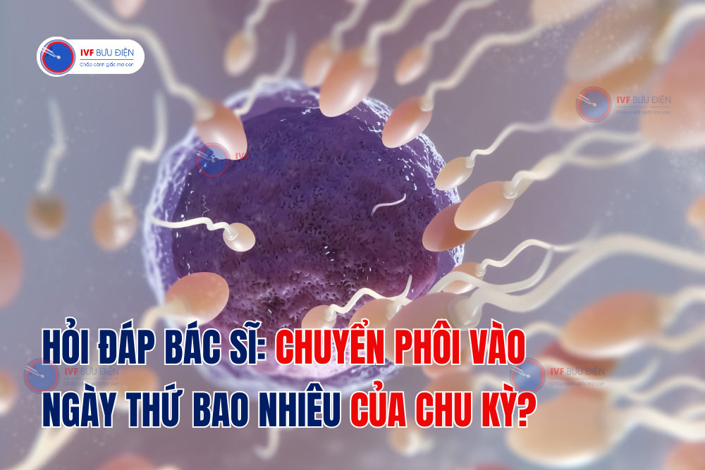 Hỏi đáp bác sĩ: Chuyển phôi vào ngày thứ bao nhiêu của chu kỳ