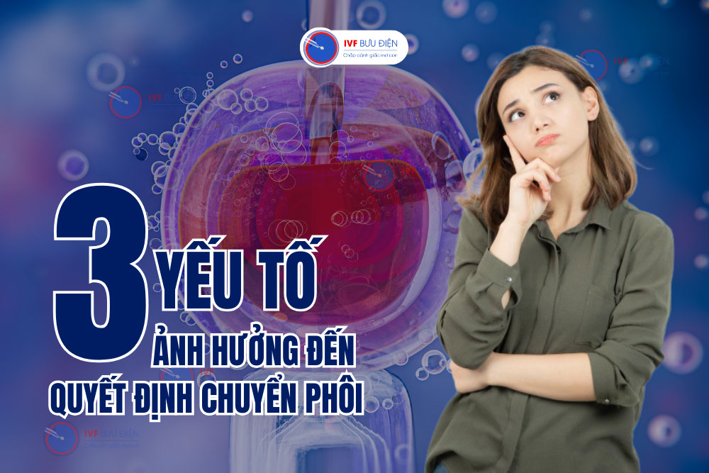 3 yếu tố giúp tăng tỷ lệ thành công cao nhất sau chuyển phôi