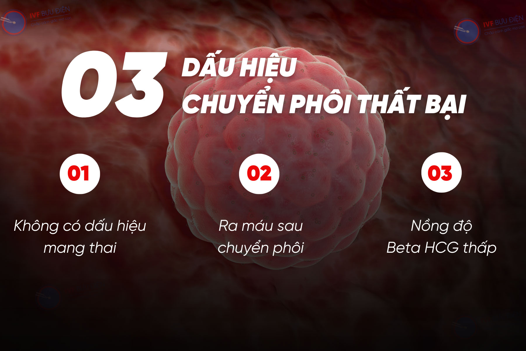 3 dấu hiệu chuyển phôi thất bại: không có dấu hiệu mang thai, ra máu âm đạo, nồng độ Beta HCG thấp