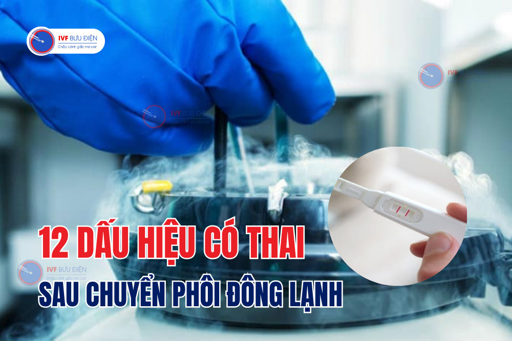 12 Dấu hiệu có thai sau chuyển phôi đông lạnh